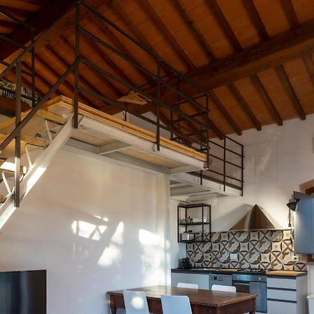 Le Pettegole Del Boschetto Castiglione della Pescaia Quarto foto
